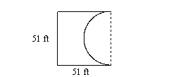 mc010-1.jpg