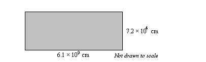 sa005-1.jpg